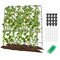 Garden Cucumber Trellis with Adjustable U-Shaped Frame and PE-Coated Metal